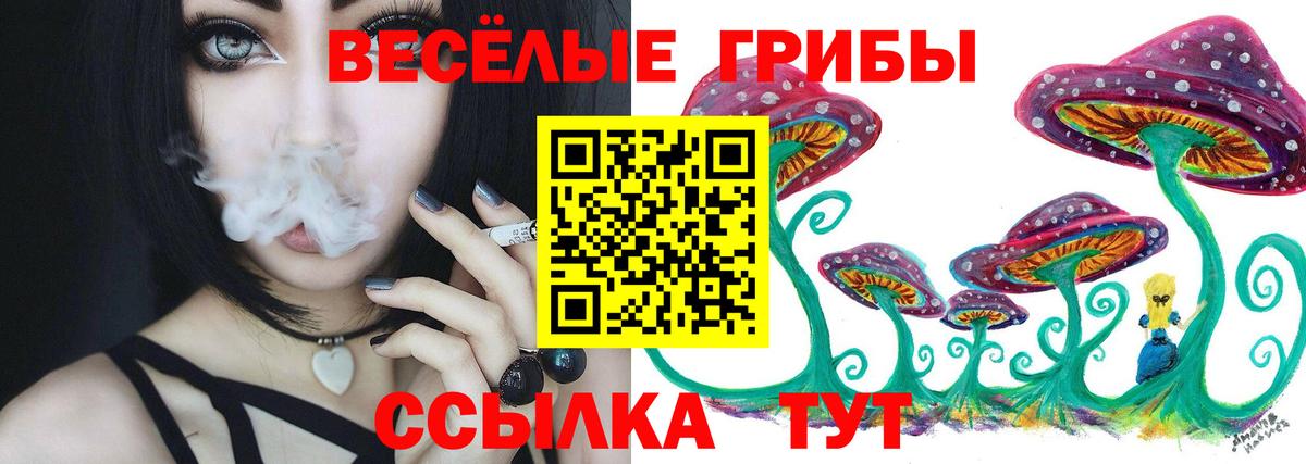 Псилоцибиновые грибы мухоморы  Вход с VPN  Мичуринск 