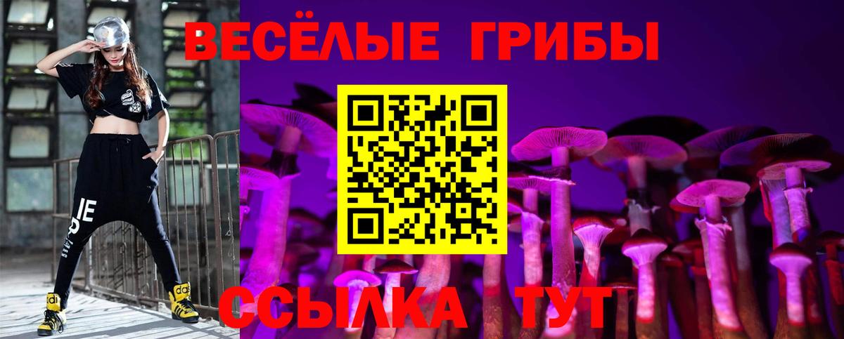 Галлюциногенные грибы Psilocybe Мичуринск